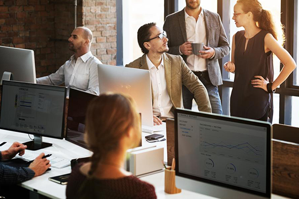 finance and business professionals