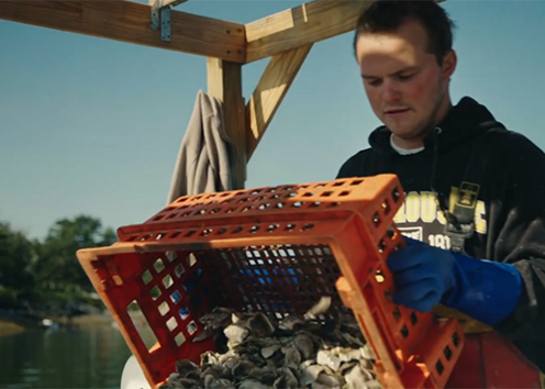 Maine Apprenticeship program