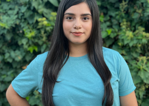 Lenis Villegas