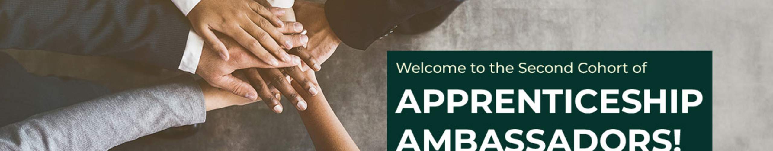 Welcome to the Second Cohort of Apprenticeship Ambassadors!