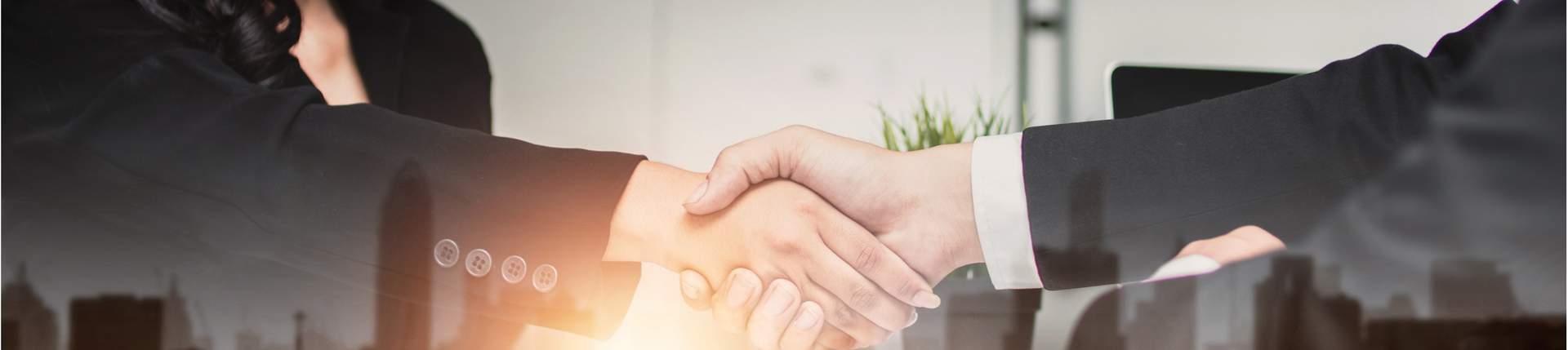 People Shaking Hands