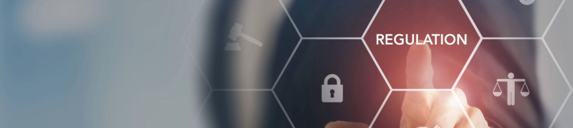 Sub-regulation Banner