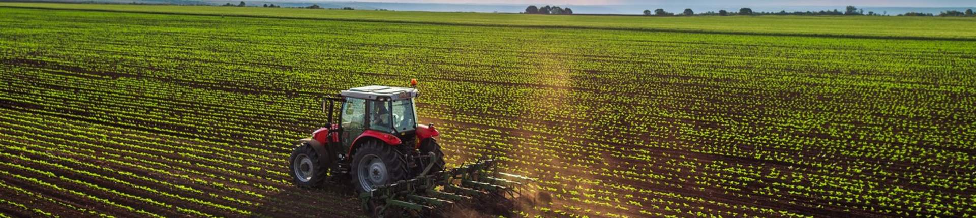 tractor plowing field